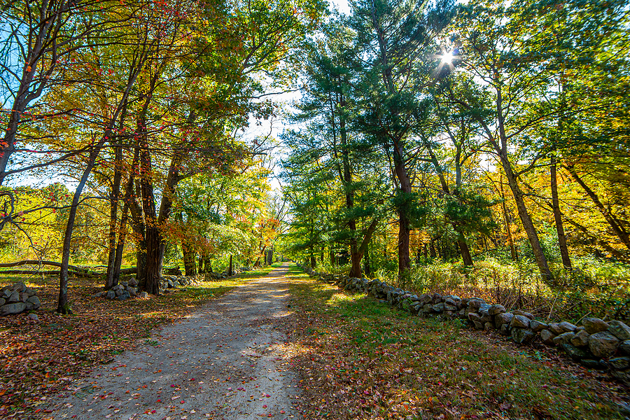 Walking path along Battle Road during autumn in Concord, MA, USA